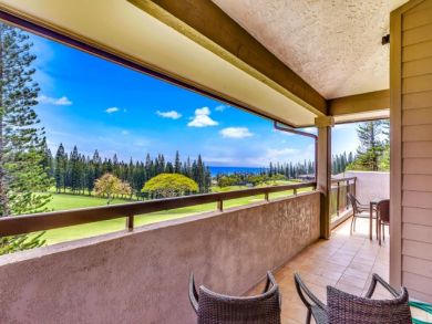 Kapalua Condo 896358